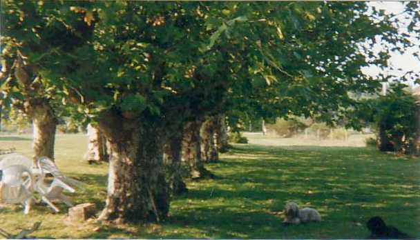 chambres hotes - Bed and Breakfast in France, Gironde, Aquitaine