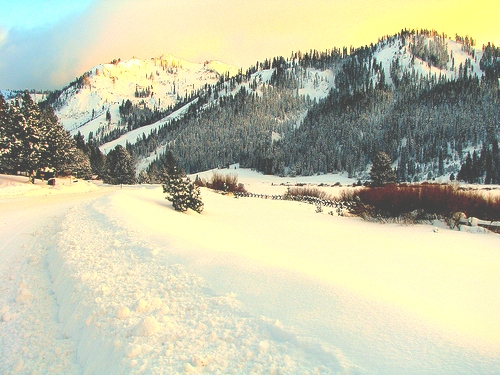 appartements et chalets dans station de ski